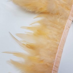 Somon Horoz Tüy-HTUY-13