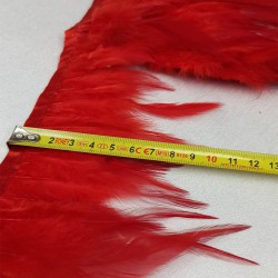 Kırmızı Horoz Tüy-HTUY-18