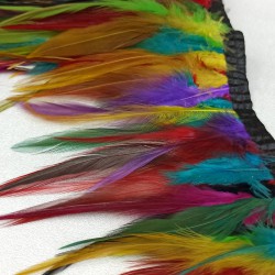 Rengarenk Horoz Tüy-HTUY-19