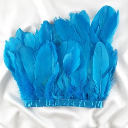 Turkuaz Kartal Tüy-KRT-1017