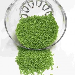 Yeşil Kum Boncuk-KUM-1148