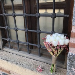 Pembe Cipsolu Buğdaylı Islak Lale Gelin Çiçeği Ve Yaka Çiçeği-LALE-1006