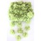 Açık Yeşil Lazer Kesim Şifon Tül Çiçek-LKT-1067