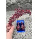 Michaelle Bordo Gelin Kına Tacı Özel Gün Aksesuar Kadın Taç Ve Geniş Mekik Küpe Takımı-MICHAELLE-25 Michaelle Bordo Gelin Kına Tacı Özel Gün Aksesuar Kadın Taç Ve Geniş Mekik Küpe Takımı-MICHAELLE-25
