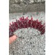 Salome Bordo Gelin Kına Tacı Yüksek Kalite Özel Gün Aksesuar Kadın Taç Saç Aksesuarı-SALOME-7 Salome Bordo Gelin Kına Tacı Yüksek Kalite Özel Gün Aksesuar Kadın Taç Saç Aksesuarı-SALOME-7