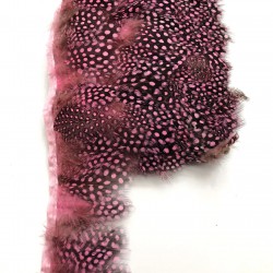 Pembe Puantiyeli Gine Tavugu Tüyü 1 mt-STUY-1010