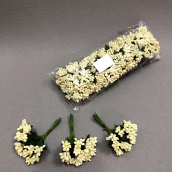 Krem Tohum Pıtırcık 1 paket 144 lü-TC-1001