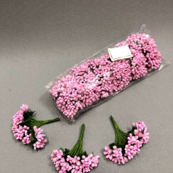 Pembe Tohum Cipso 1 paket 144 lü-TC-1004