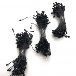 Siyah Tohum Pıtırcık-TC-1024