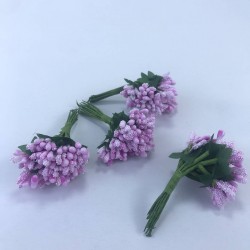 Lila Renk Tohum Pıtırcık-TC-1056