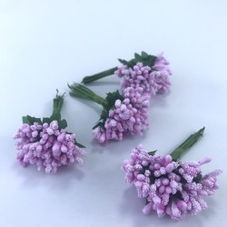 Lila Renk Tohum Pıtırcık-TC-1056