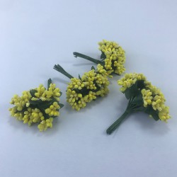 Sarı Renk Tohum Pıtırcık-TC-1057