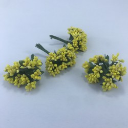 Sarı Renk Tohum Pıtırcık-TC-1057