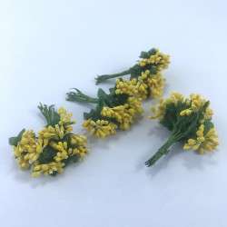 Koyu Sarı Renk Tohum Pıtırcık-TC-1058