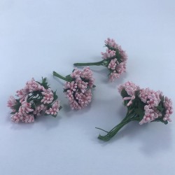 Pembe Renk Tohum Pıtırcık-TC-1059