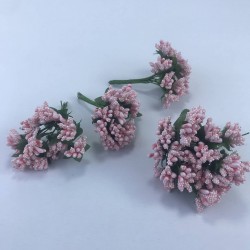 Pembe Renk Tohum Pıtırcık-TC-1059