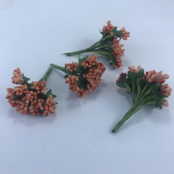 Turuncu Renk Tohum Pıtırcık-TC-1060