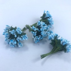 Turkuaz Renk Tohum Pıtırcık-TC-1061