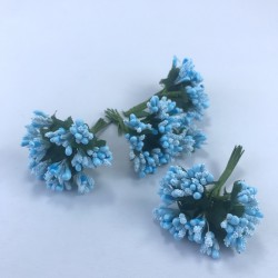 Turkuaz Renk Tohum Pıtırcık-TC-1061