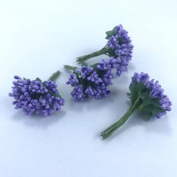 Koyu Lila Renk Tohum Pıtırcık-TC-1062