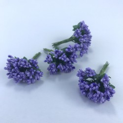 Koyu Lila Renk Tohum Pıtırcık-TC-1062