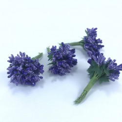 Mor Renk Tohum Pıtırcık-TC-1063