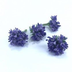 Mor Renk Tohum Pıtırcık-TC-1063