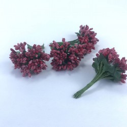 Bordo Renk Tohum Pıtırcık-TC-1064