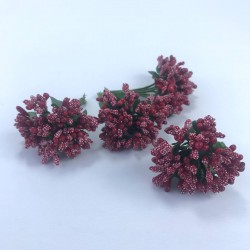 Bordo Renk Tohum Pıtırcık-TC-1064