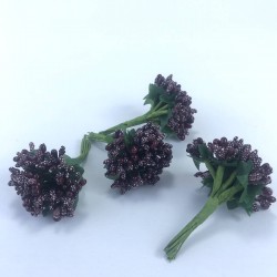 Siyah Renk Tohum Pıtırcık-TC-1065