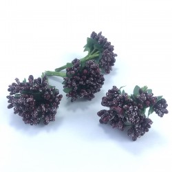 Siyah Renk Tohum Pıtırcık-TC-1065