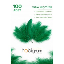 Premium Yapay Kuş T&uuml;y&uuml; 100 Adet Yeşil Ekonomik Paket Nikah D&uuml;ğ&uuml;n Parti S&uuml;sleme-TEKTUY-1017