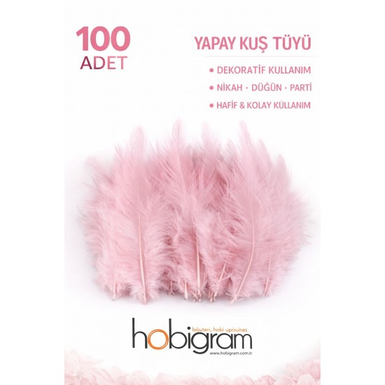 Premium Yapay Kuş T&uuml;y&uuml; 100 Adet Somon Ekonomik Paket Nikah D&uuml;ğ&uuml;n Parti S&uuml;sleme-TEKTUY-1019