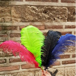 Deve Kuşu Tüyü 45-50 cm 1 adet-TT-1004