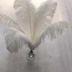 Krem Deve Kuşu Tüyü 45-50 cm 1 adet-TT-1006