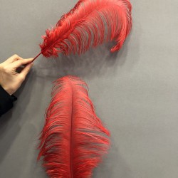 Kırmızı Deve Kuşu Tüyü 45-50 cm 1 adet-TT-1008