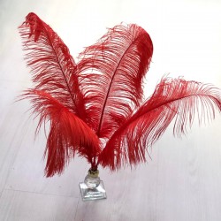 Kırmızı Deve Kuşu Tüyü 45-50 cm 1 adet-TT-1008