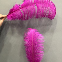 Fuşya Deve Kuşu Tüyü 45-50 cm 1 adet-TT-1009