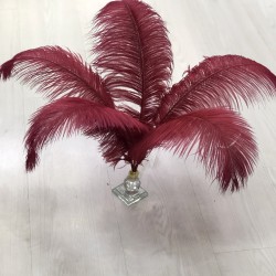 Bordo Deve Kuşu Tüyü 45-50 cm 1 adet-TT-1010