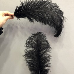 Siyah Deve Kuşu Tüyü 45-50 cm 1 adet-TT-1011