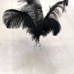 Siyah Deve Kuşu Tüyü 45-50 cm 1 adet-TT-1011