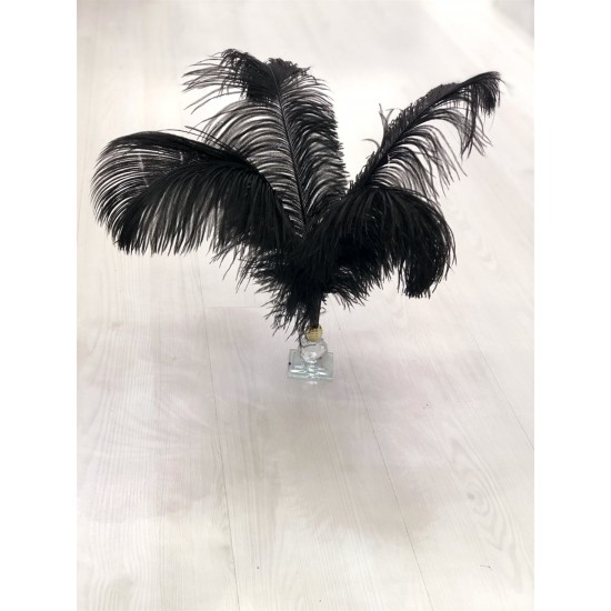 Siyah Deve Kuşu Tüyü 45-50 cm 1 adet-TT-1011