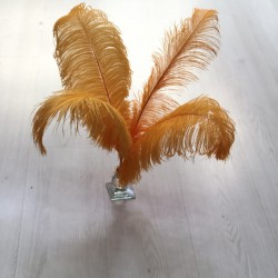 Turuncu Deve Kuşu Tüyü 45-50 cm 1 adet-TT-1012