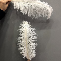 Krem Deve Kuşu Tüyü 25-30 cm 1 adet-TT-1014