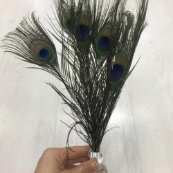 Tavuz Kuşu Tüyü 25-27 cm 1 adet-TT-1015 Tavuz Kuşu Tüyü 25-27 cm 1 adet-TT-1015