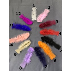 Renkli Tek Tüy (10 adet)-TT-1016