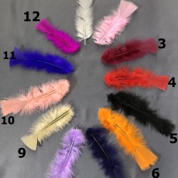 Renkli Tek Tüy (10 adet)-TT-1016 Renkli Tek Tüy (10 adet)-TT-1016