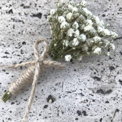 Krem Cipsolu Damat Yaka Çiçeği-YKC-1000