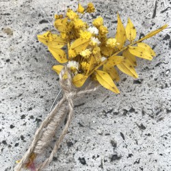 Sarı Yapraklı Cipsolu Damat Yaka Çiçeği-YKC-1001