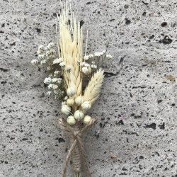 Krem Buğdaylı Damat Yaka Çiçeği-YKC-1006